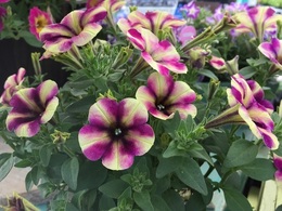 20180426160005.jpg