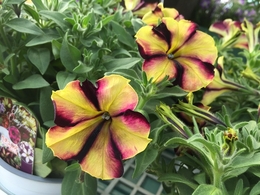 20180426160510.jpg