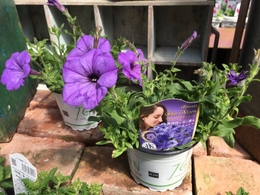 20180510140000.jpg