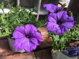20180510141020.jpg