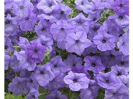 20180510142030.jpg