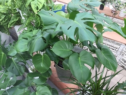20180517160510.jpg