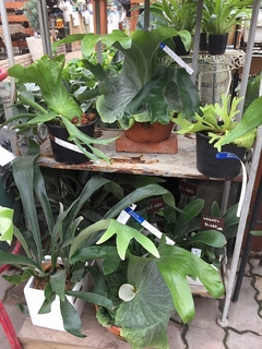 20180517163035.jpg
