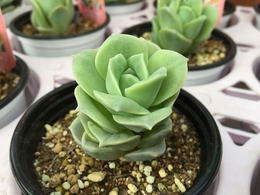 20180517171217.jpg