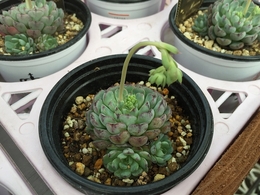 20180517172227.jpg