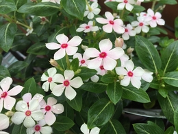 201806195349.jpg