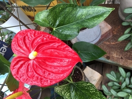 201807055540.jpg