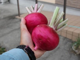 201809192900.jpg