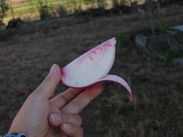 201809193538.jpg