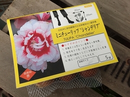 201809306724.jpg