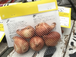 201809306730.jpg