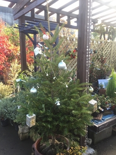 201811298115.jpg