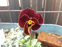 201812128348.jpg