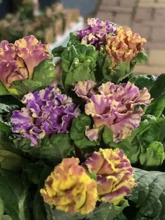 2019010501.jpg
