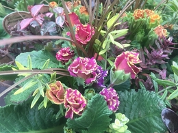 201901059186.jpg