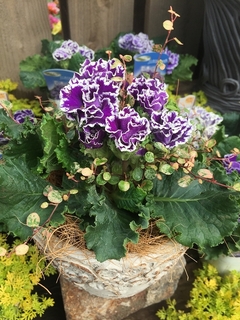 201901139260.jpg