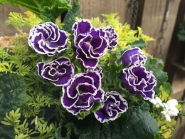 201901139281.jpg
