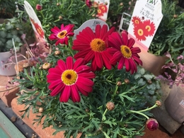 201901169370.jpg