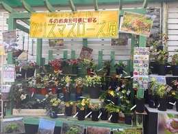 201902099804.jpg