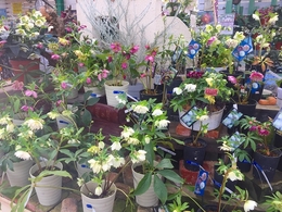 201902099805.jpg