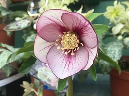 201902099812.jpg