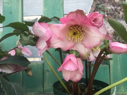 201902099814.jpg