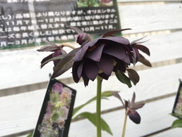 201902099845.jpg
