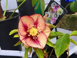 201902099850.jpg