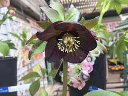 201902099851.jpg