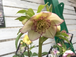201902099854.jpg