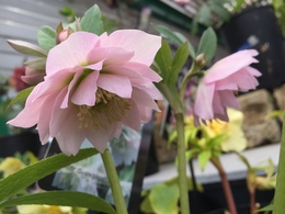 201902099867.jpg