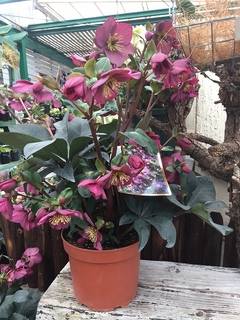 201902099870.jpg