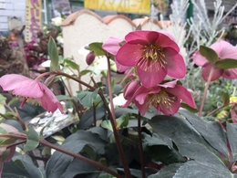 201902099873.jpg