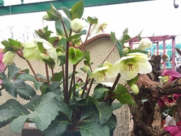 201902099880.jpg