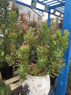 201903020289.jpg