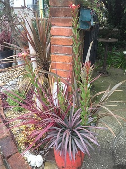 201903020429.jpg