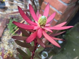 201903020431.jpg