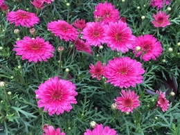 201903060466.jpg
