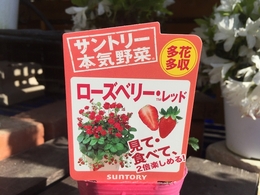 201903130603.jpg
