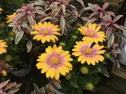 201903140638.jpg