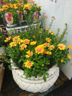 201903140641.jpg