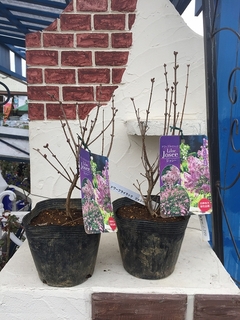 201903140660.jpg