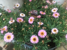 201903181045.jpg