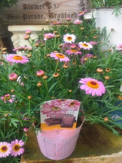 201903181047.jpg