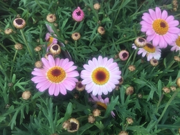 201903181055.jpg