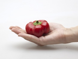 tomatopaprika20190302.jpg