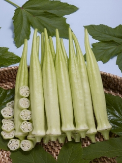 whiteokra.jpg
