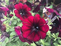 201904071661.jpg