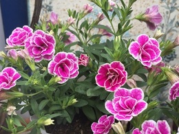 201904252116.jpg