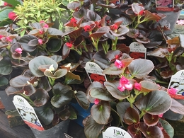 201905012446.jpg